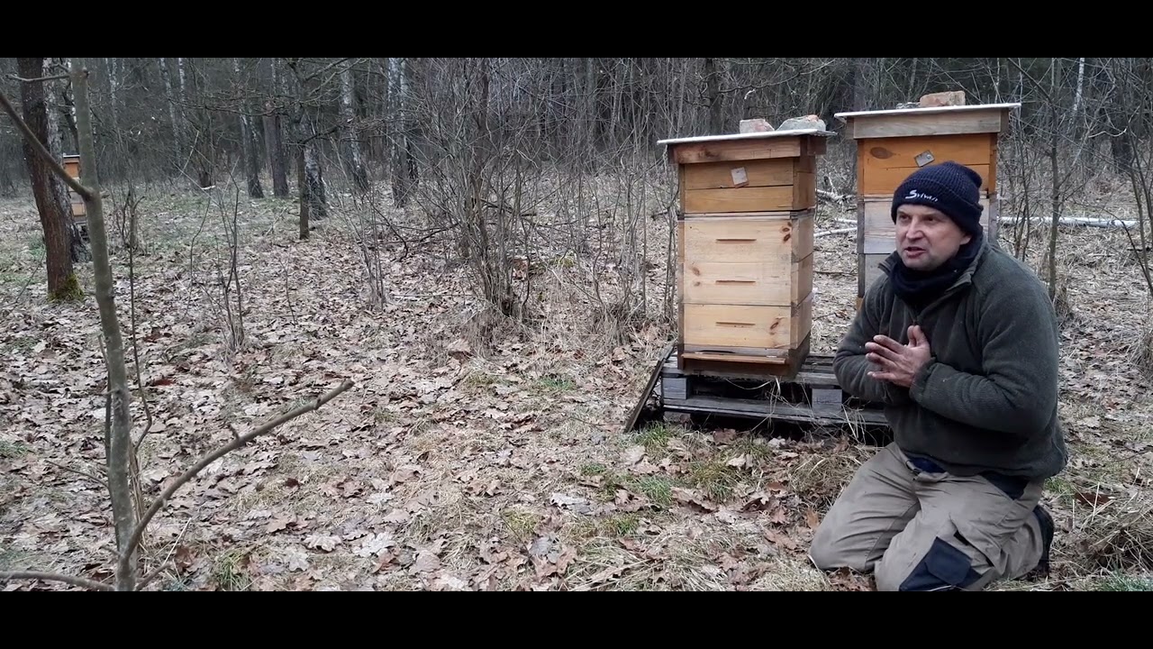 Pasieczysko łąkowo leśne - start 3 sezonu