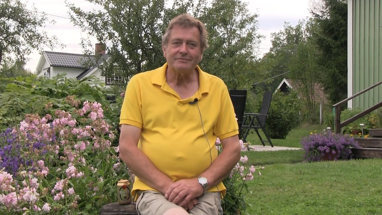 Sunedagen 2014 hos Sune Gunnarsson i Broängen med motorsågstävling