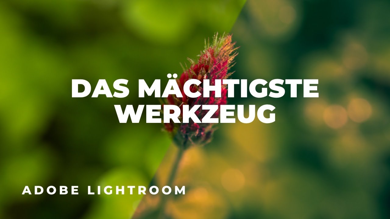 Das WICHTIGSTE Werkzeug in ADOBE LIGHTROOM? Presets erstellen mit GRADIATIONSKURVEN