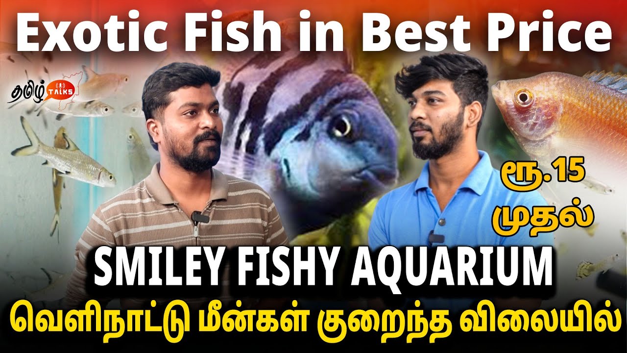 குறைந்த விலையில் Exotic Fish | SMILEY FISHY AQUARIUM | FISHES | IMPORTED|#thamizhtalks #exoticfishes