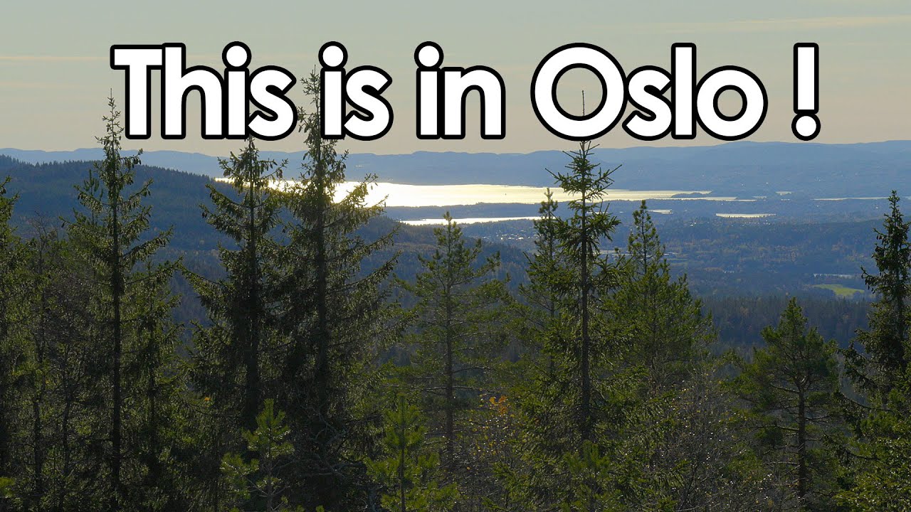 Kopperhaugen | Hike | Oslo | Day trip