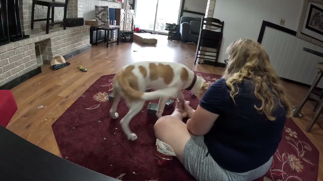 Snickerdoodle Nose Poke Alert 2 8.7.2025