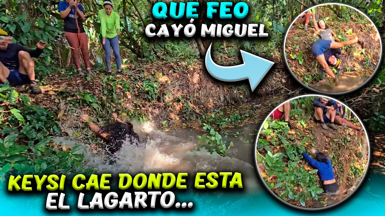 Los Bichos tienen miedo pasar porque el LAGARTO acaba de sacar la cabeza. Que golpes se dieron