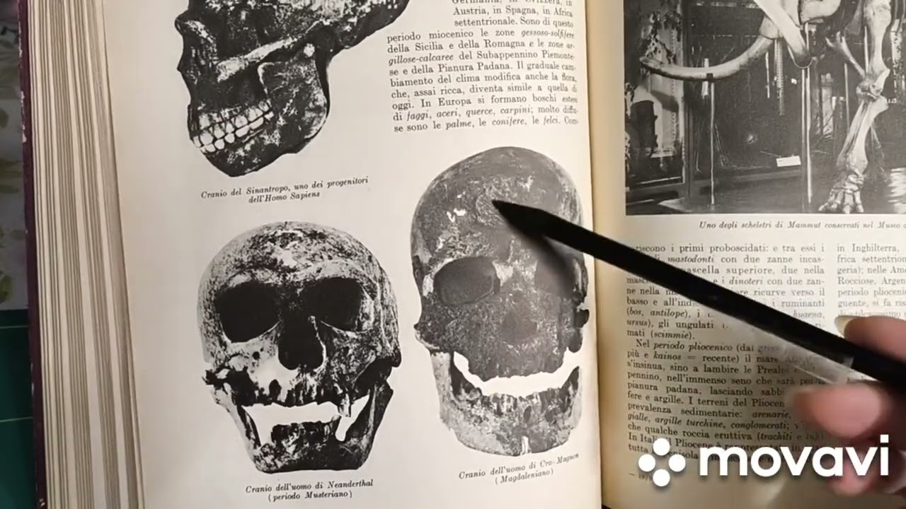 Разумные и неразумные типы людей , как отличить⁉️