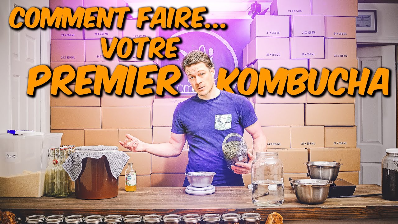 Comment Faire son Kombucha Maison pour la Premi&egrave;re Fois !
