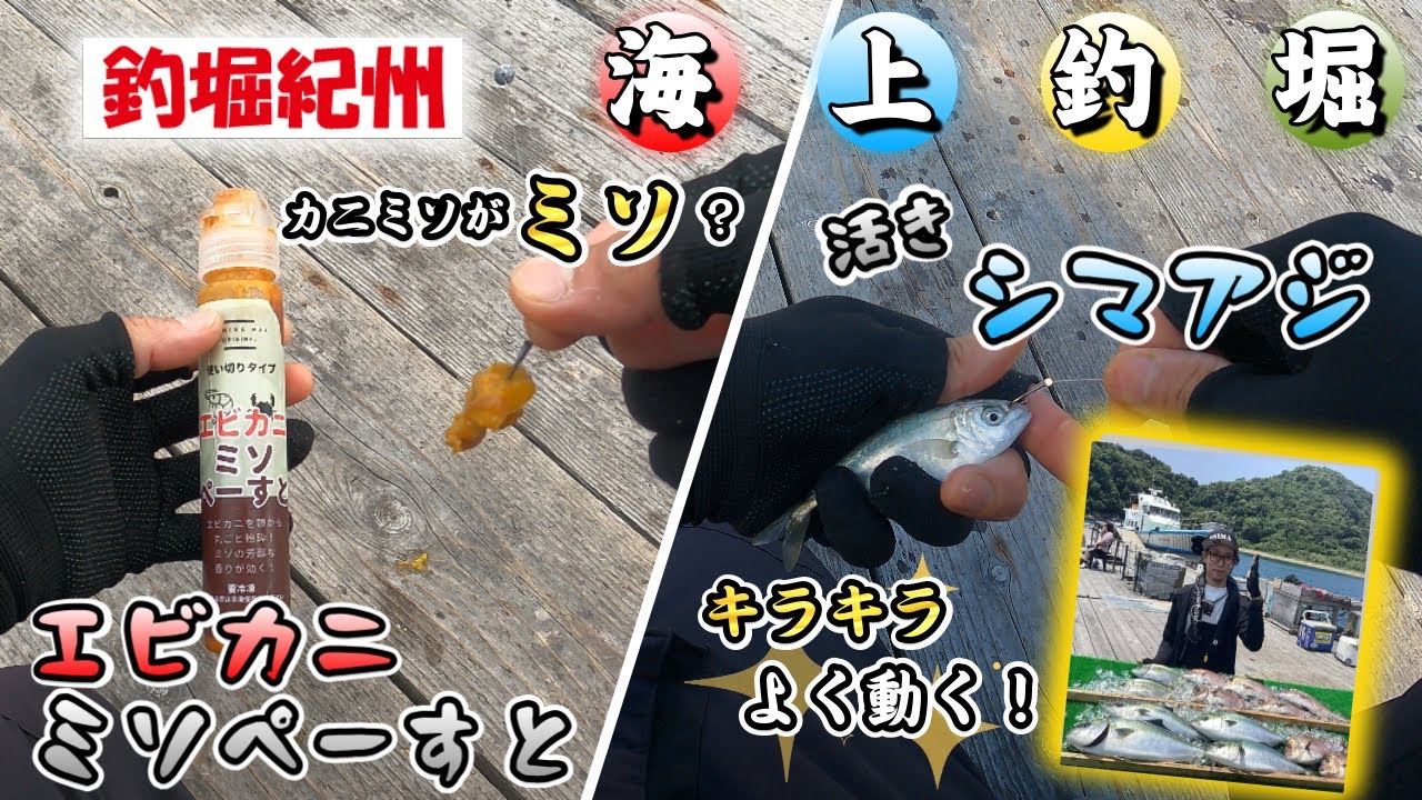 【海上釣堀】色んなエサを使って楽しみを増やす！！