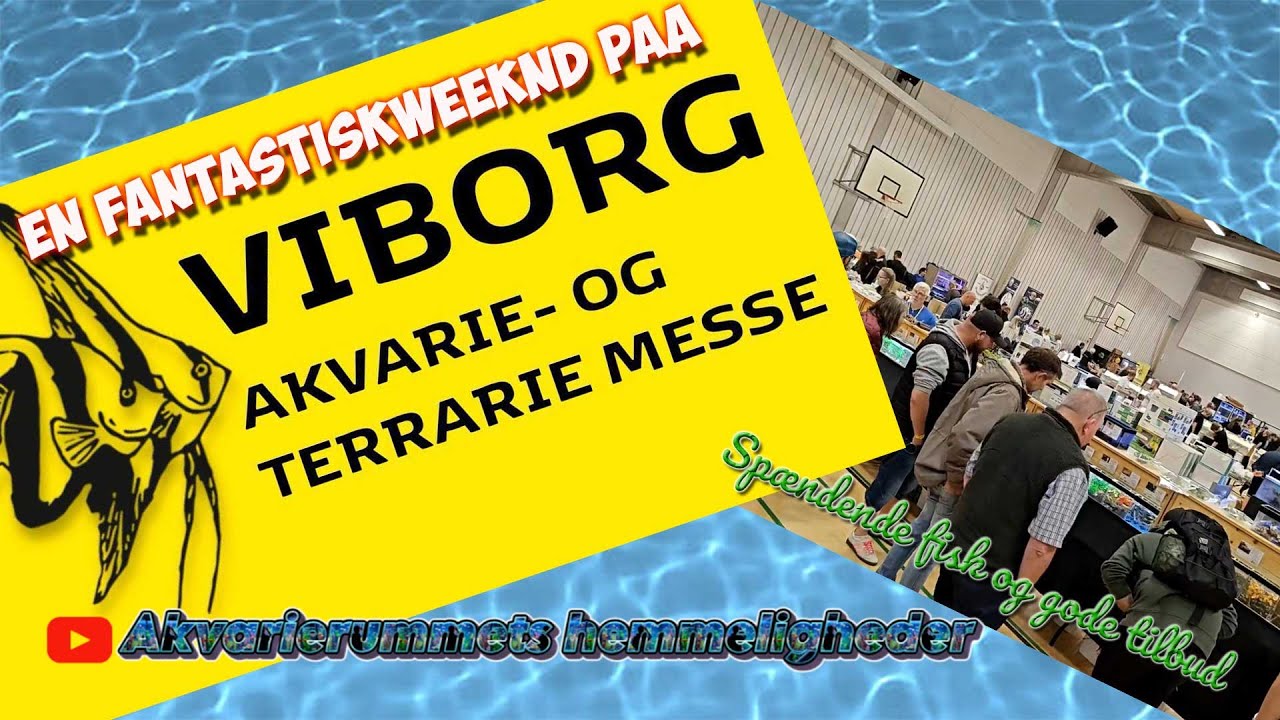 Viborg Akvariemesse 2025