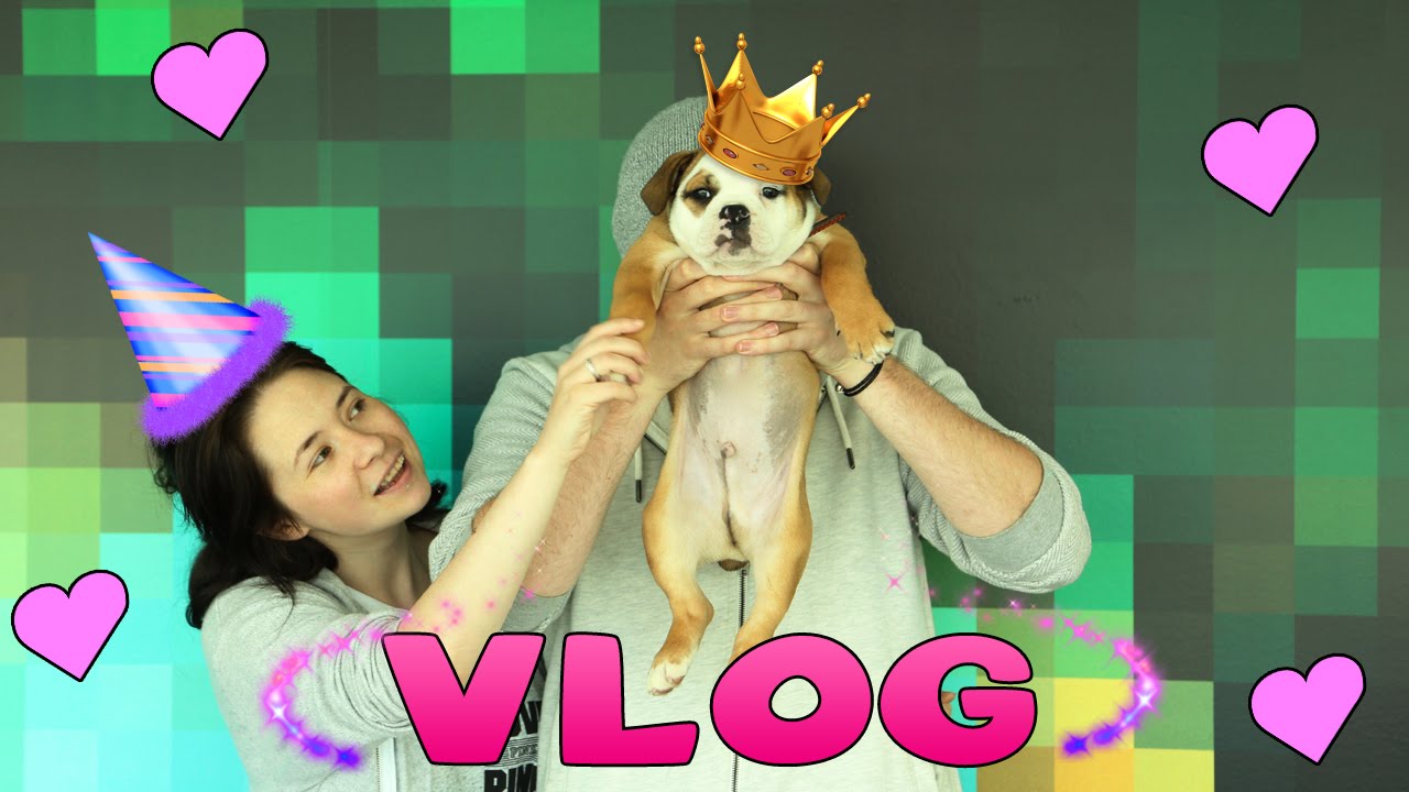 Minecraft-Little Carly VLOG-FACE REVEAL Q&A!!