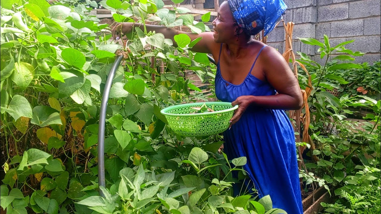 Sue 2 Kats is live!How to Grow Your Own Food at Home | Beginner Friendly Gardening Guide