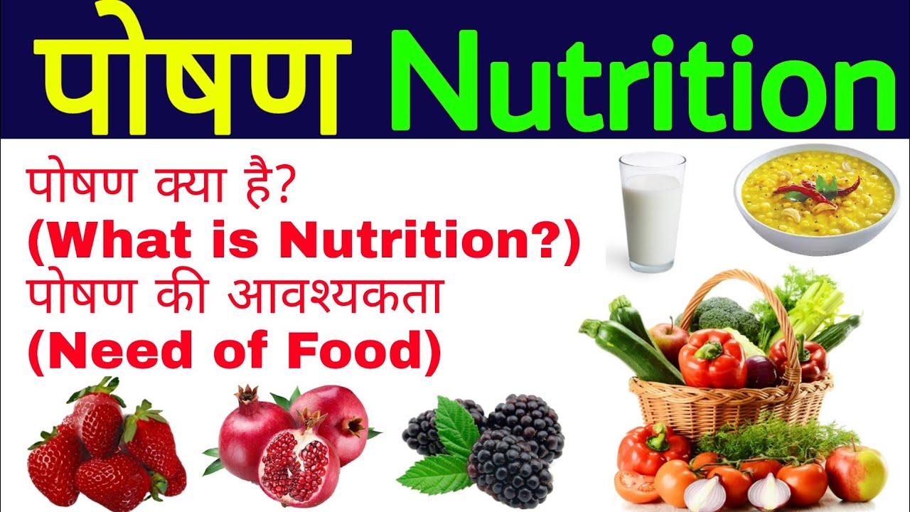 पोषण क्या है | Poshan kya hai | What is Nutrition | पोषण की आवश्यकता | पोषण की उपयोगिता |जीवविज्ञान