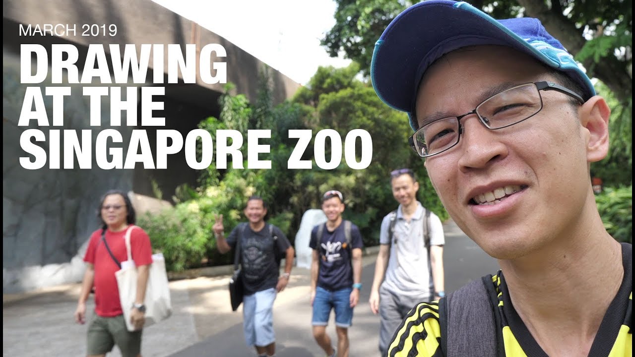 Drawing at the Singapore Zoo (March 2019)