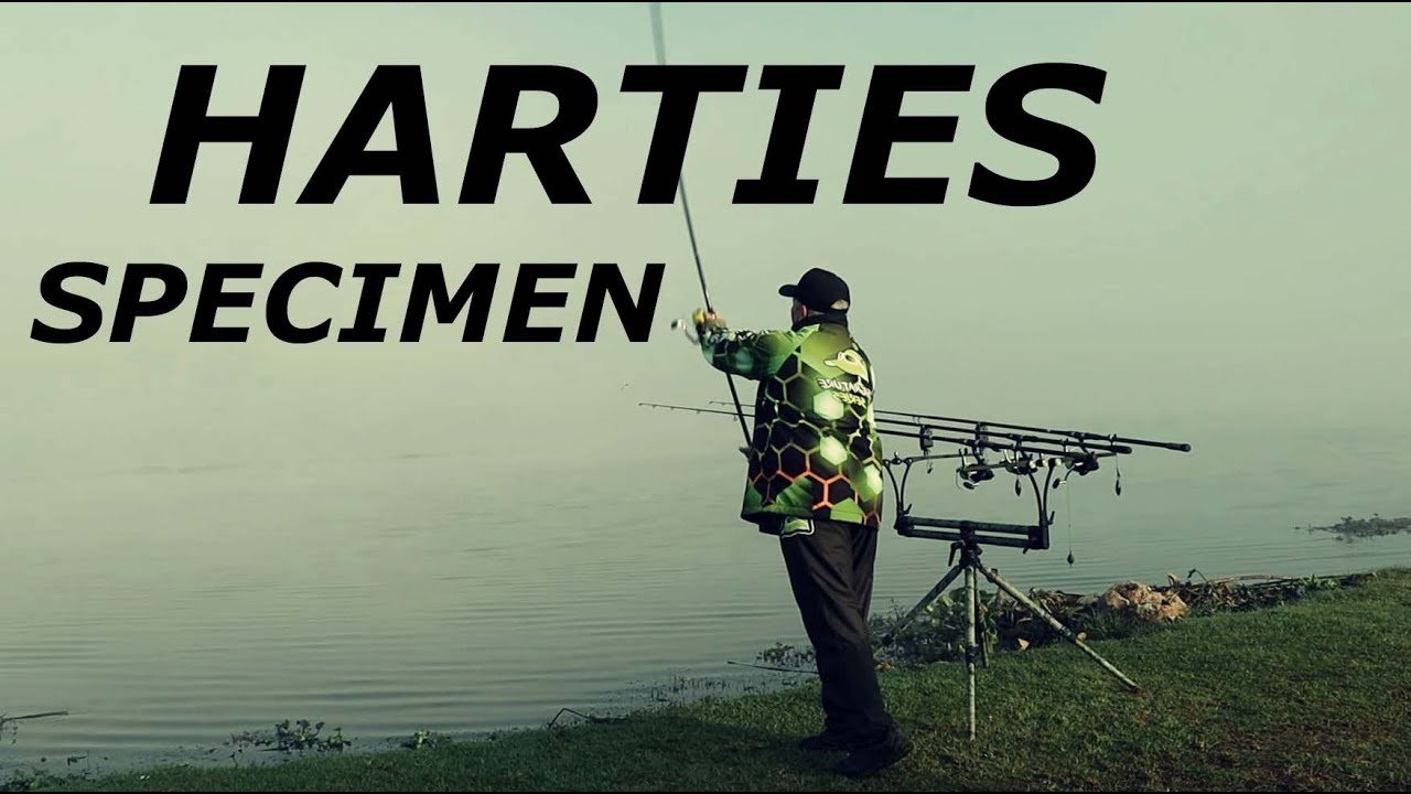 Harties Specimen Casting