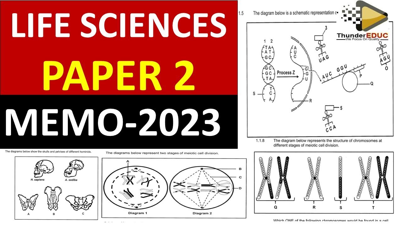 2023 MEMO LIFE SCIENCES P.2  GRADE 12  2023 FINAL  EXAMS 2023[THUNDEREDUC] BY: M.SAIDI #memo