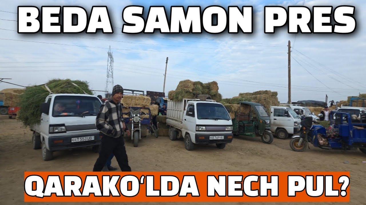 BUXORO QARAKOʻL BEDA SAMON PRES NARXLAR 15.02.2026