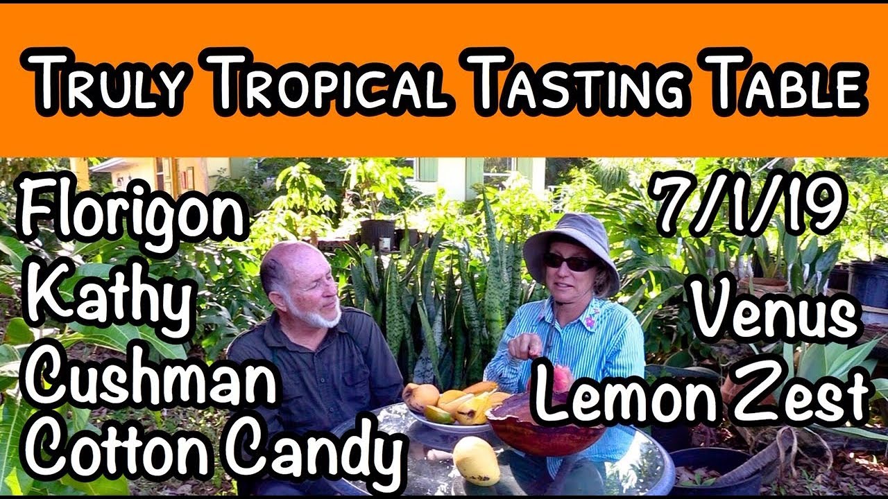 Truly Tropical Tasting Table #14 (July 1, 2019)