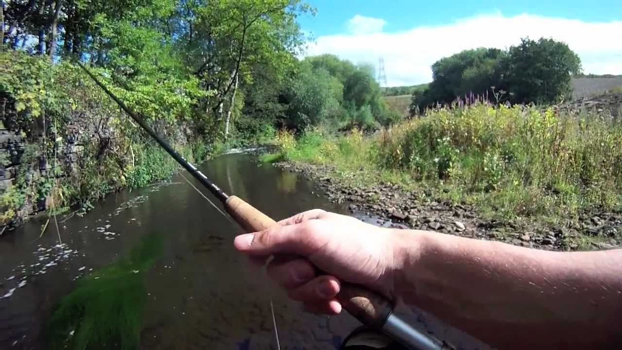 Urban Fly Fishing near Sheffield city centre