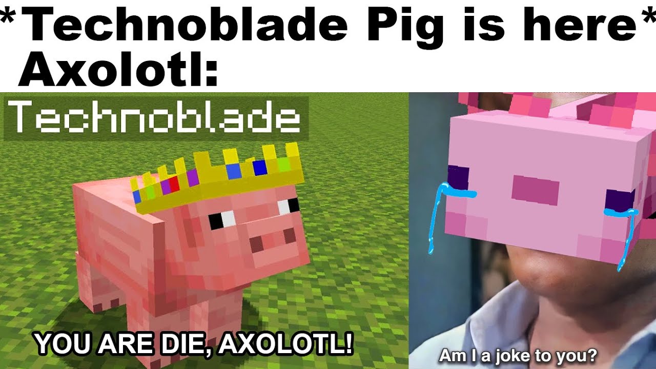 dream smp memes that made my day better
