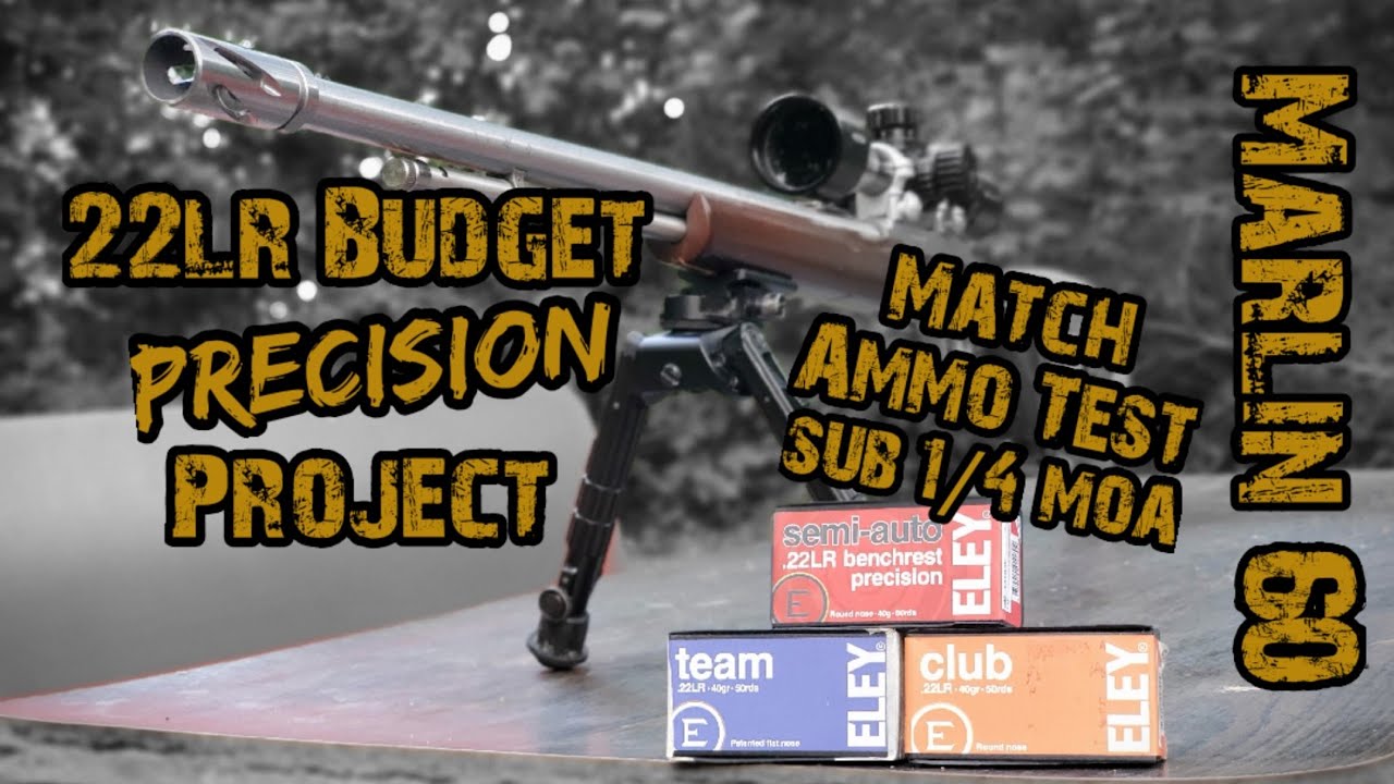 Marlin Model 60 22lr Match Ammo Test (Sub 1/4 moa) 22lr Budget Precision Project