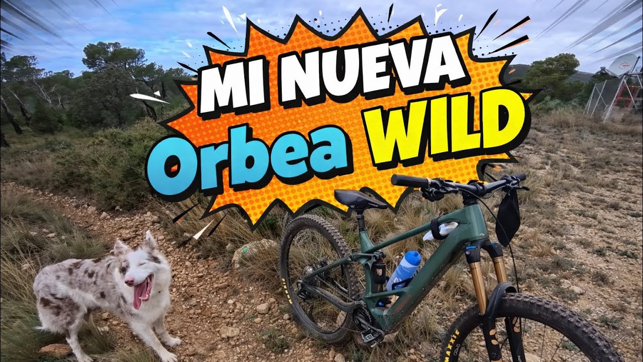 ORBEA WILD 2026 📈TEST📈