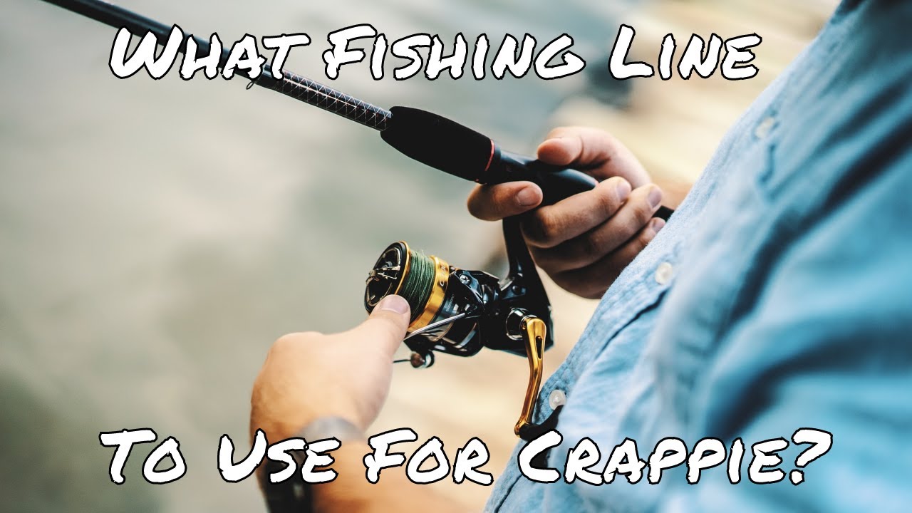 What Fishing Line to Use for Crappie Fishing? - Fishing Tips for Beginners
