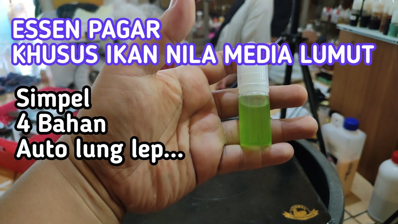 Meracik Essen Ikan Nila PAGAR (Pandan Garlic) Media Lumut