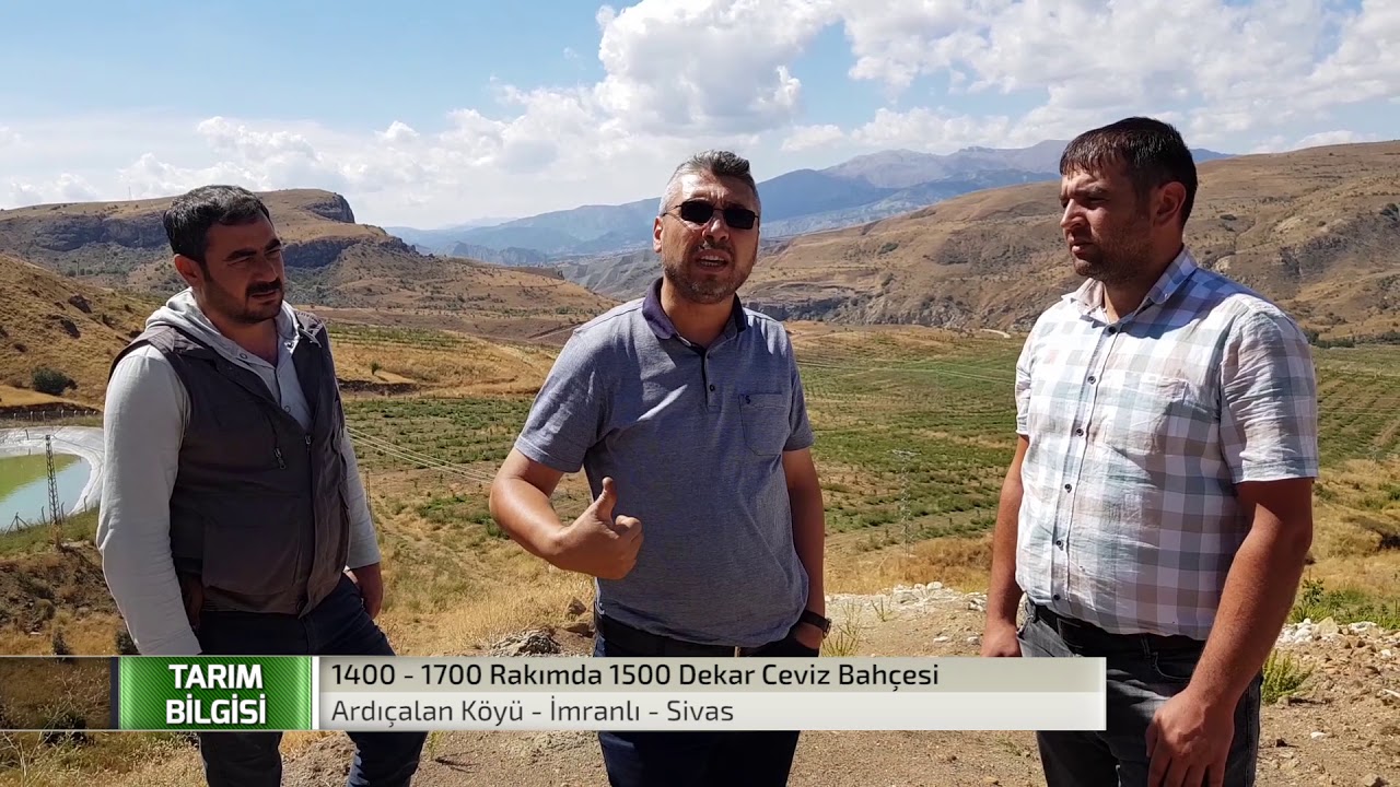 Yüksek Rakımda Ceviz Bahçesi Kurulumu ve Bakımı