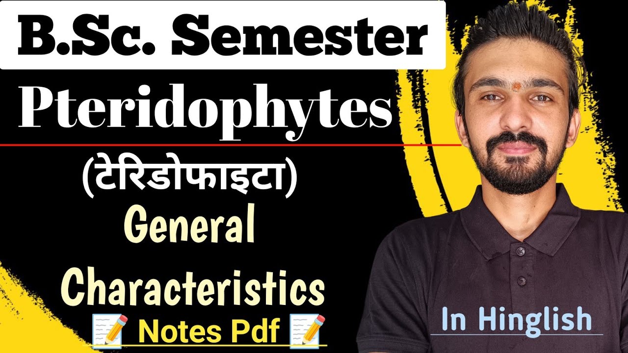Pteridophytes General Characters || Pteridophyta || Bsc Semester || By Dadhich Sir
