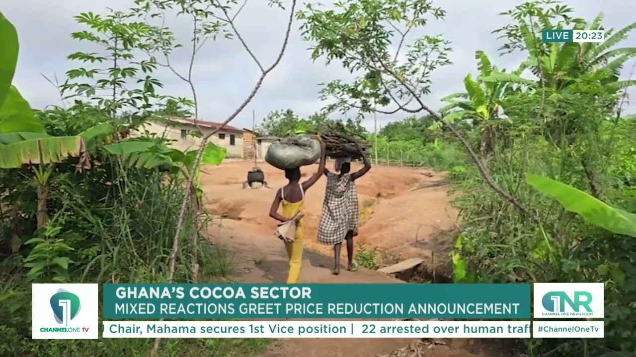 Price Reduction Controversy: Ghana’s Cocoa Price Cut Triggers Strong Reactions