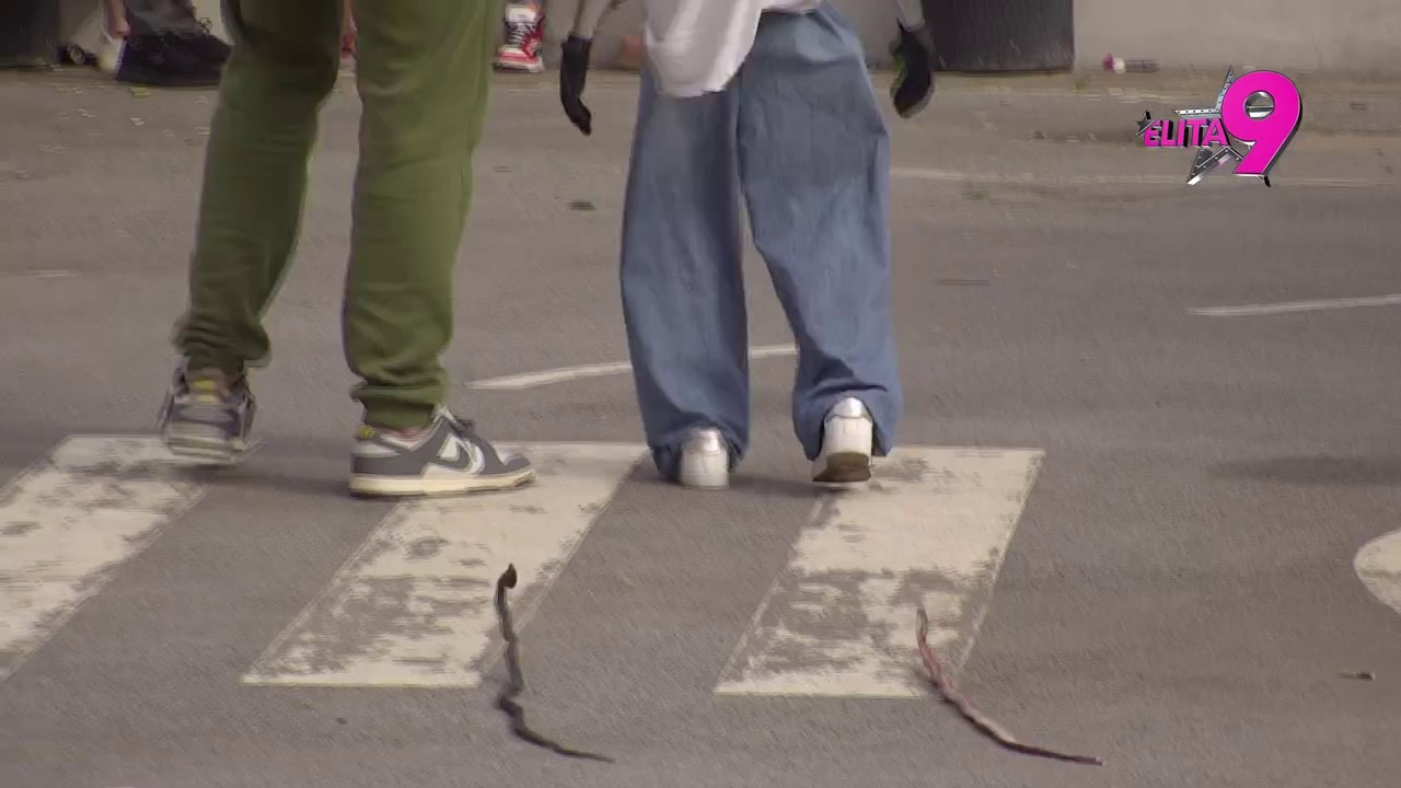 Elita 9: Toša i Janjuš šetaju zmije Cecu i Jecu i puštaju otrove - 19.02.2026.