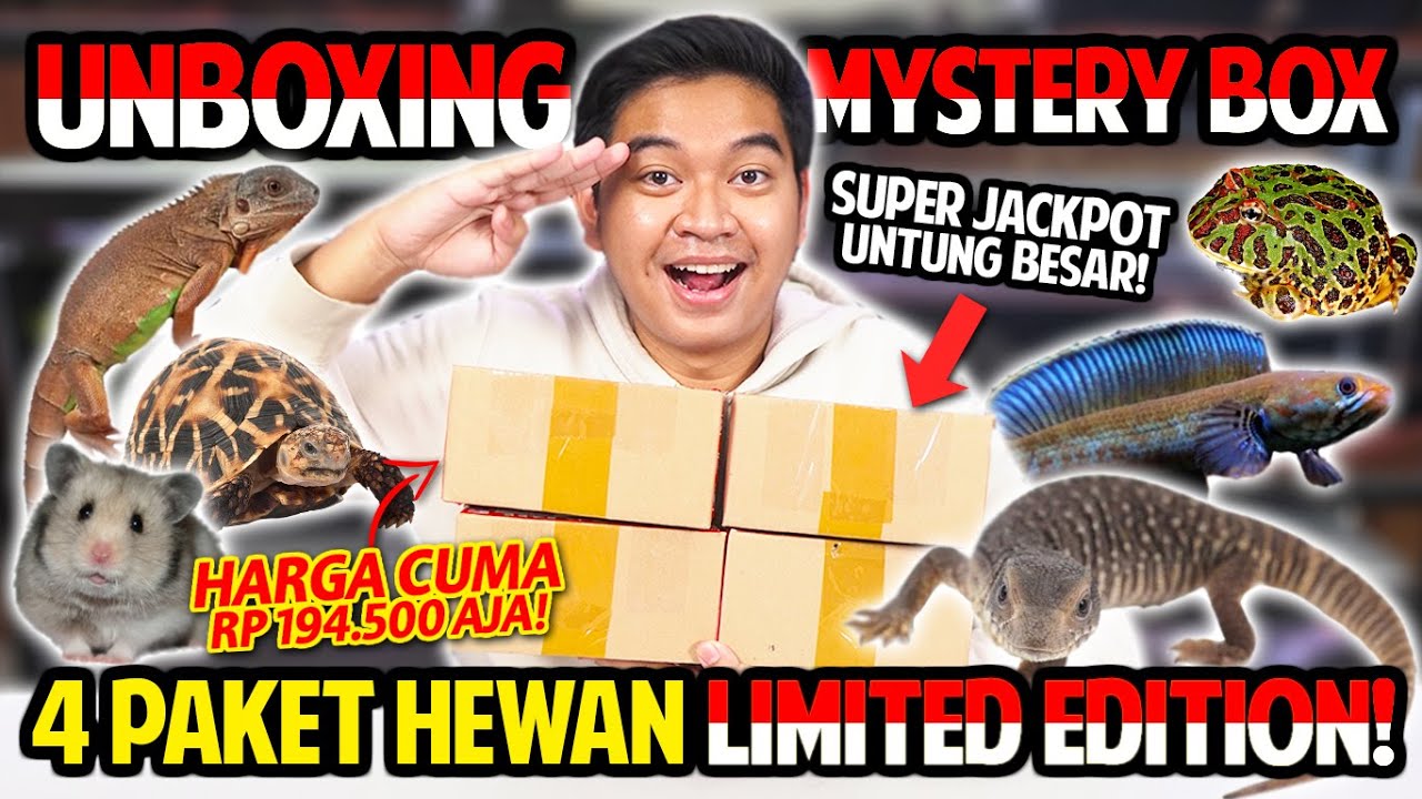 UNBOXING 4 PAKET MYSTERY BOX HEWAN LIMITED EDITION SPESIAL KEMERDEKAAN! SUPER JACKPOT UNTUNG BESAR!