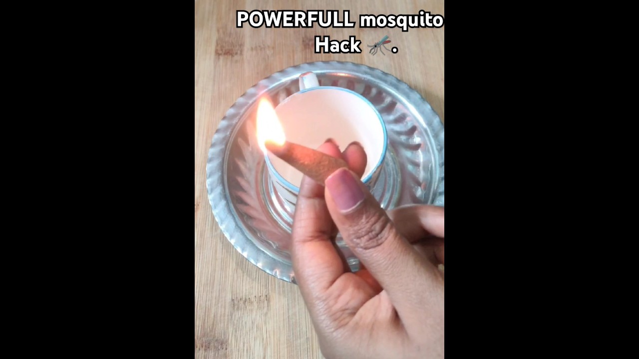 Kitchen tips -50 Flies and mosquitoes will flee from your house with this easy hack