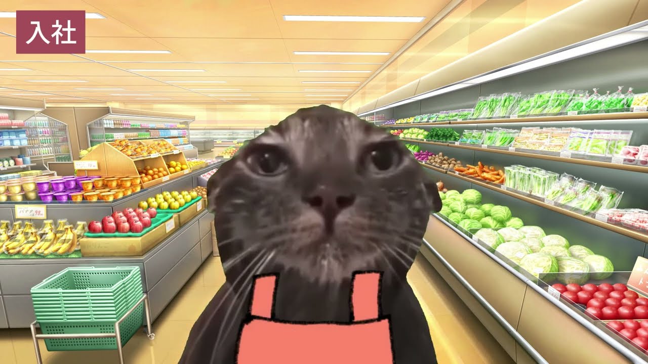 新卒でスーパーに入社したら適応障害になった話【猫ミーム】#猫ミーム #猫マニ