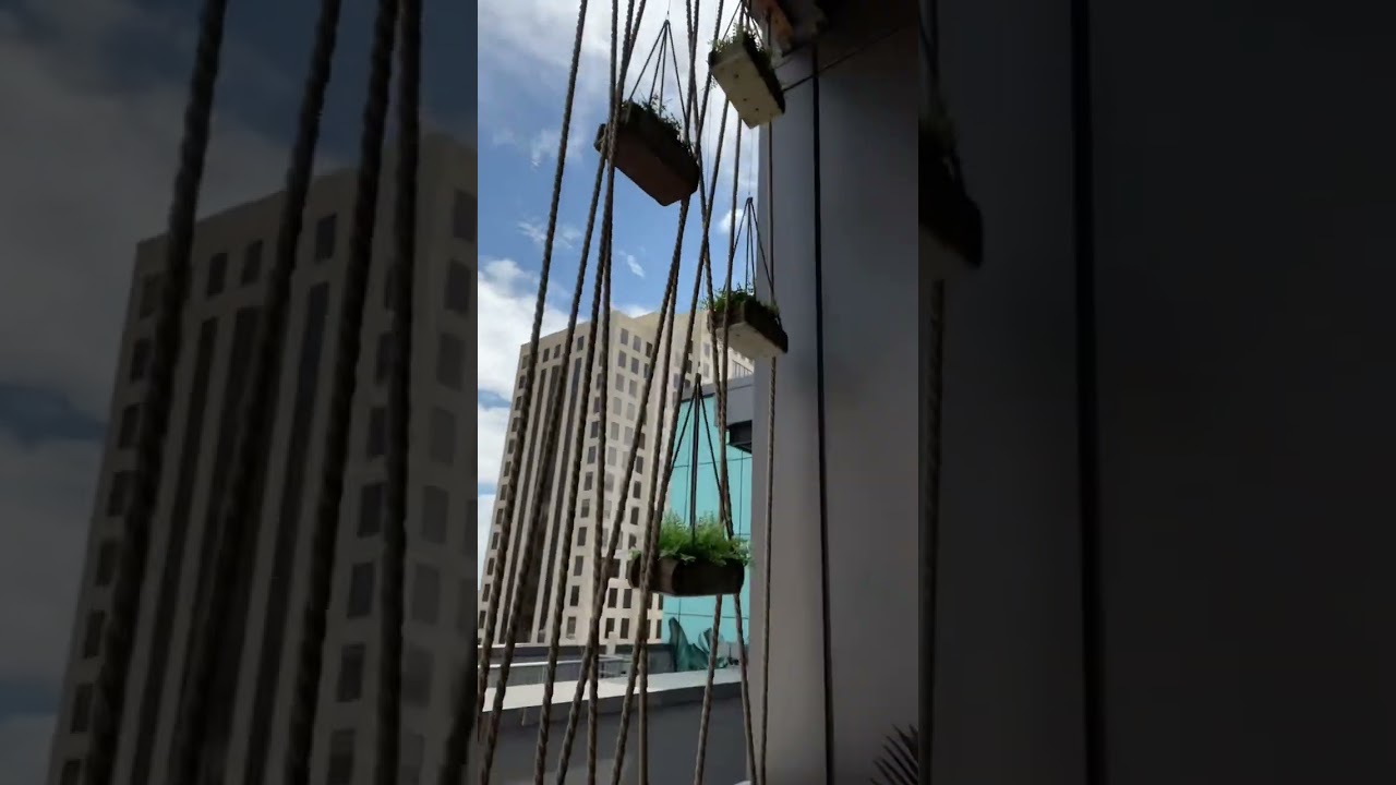 Exploring Austin. Sunday #rooftop vibes at #zanzibar at the #Mariott in Downtown, Austin! #shorts