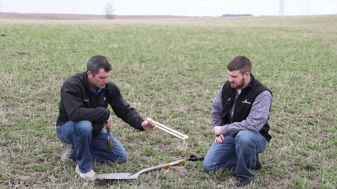 Spring Alfalfa Management