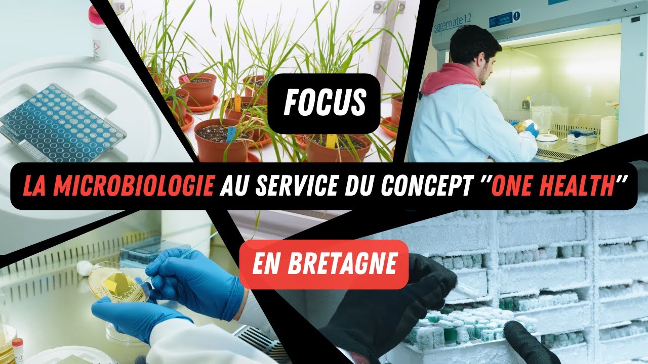 FOCUS I La microbiologie au service du concept 