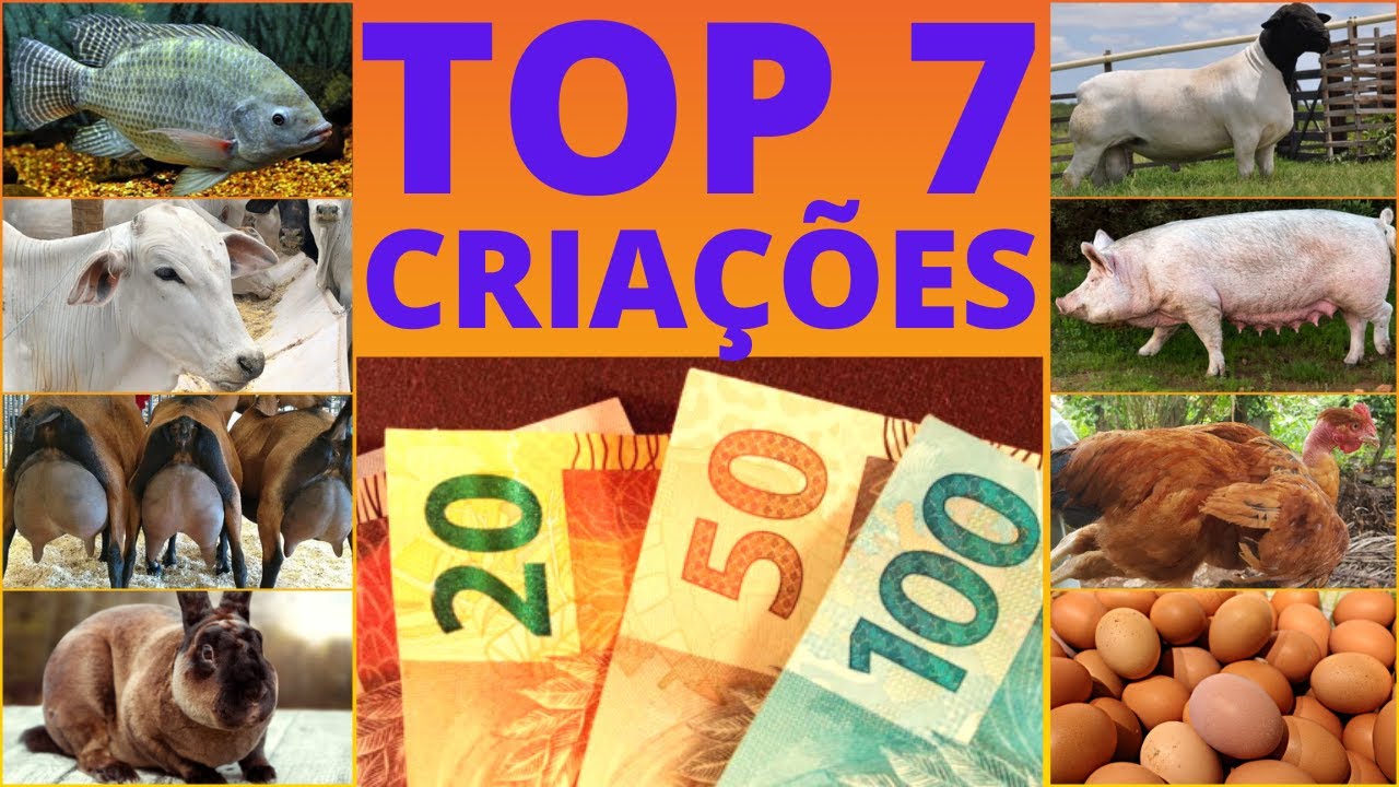 ТОП-7 САМЫХ ПРИБЫЛЬНЫХ ТВОРЕНИЙ в РОСЕ. Инвестируйте с ...