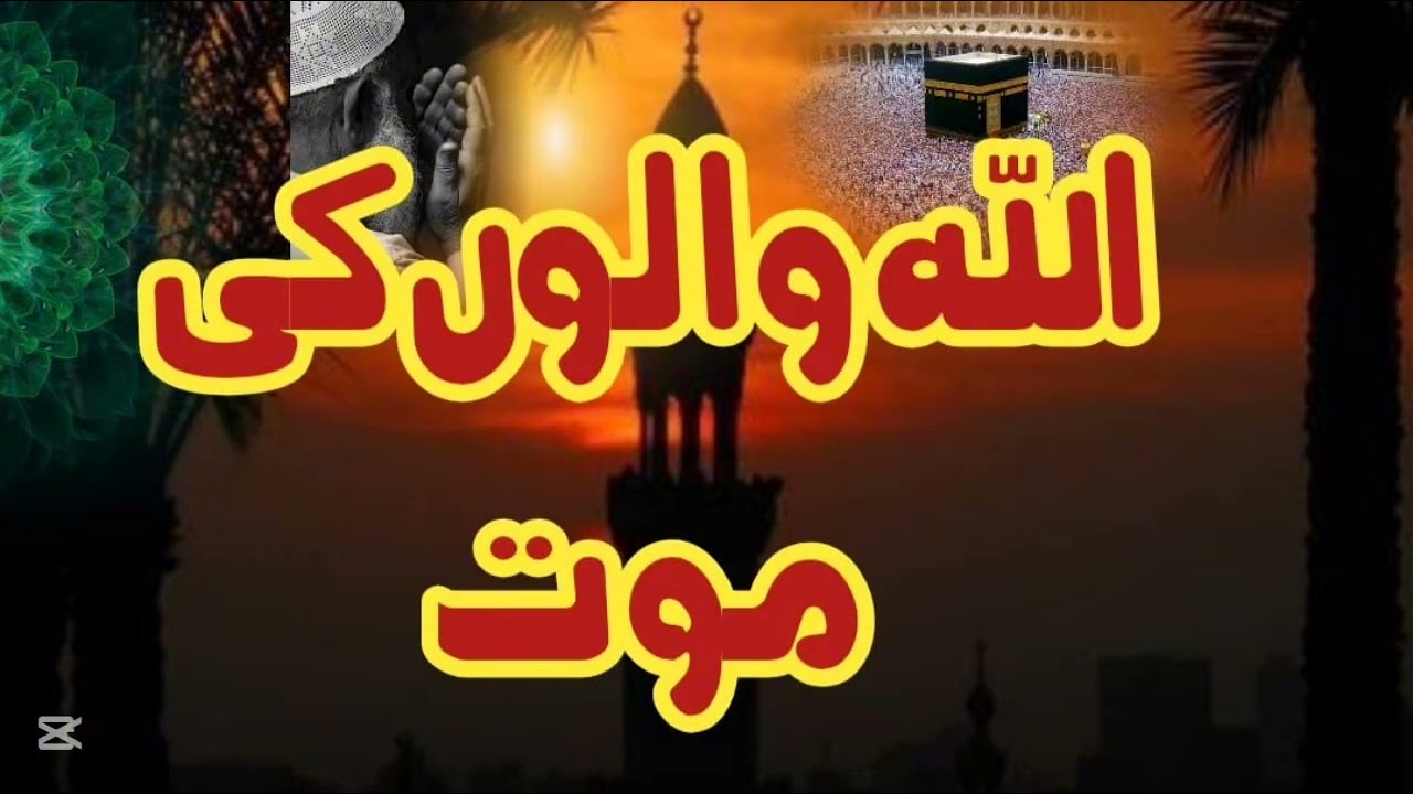 Relationship with ALLAH series (#8) (تعلق مع اللہ) | #foryou #subscribe #nature #beauty #viralvideo