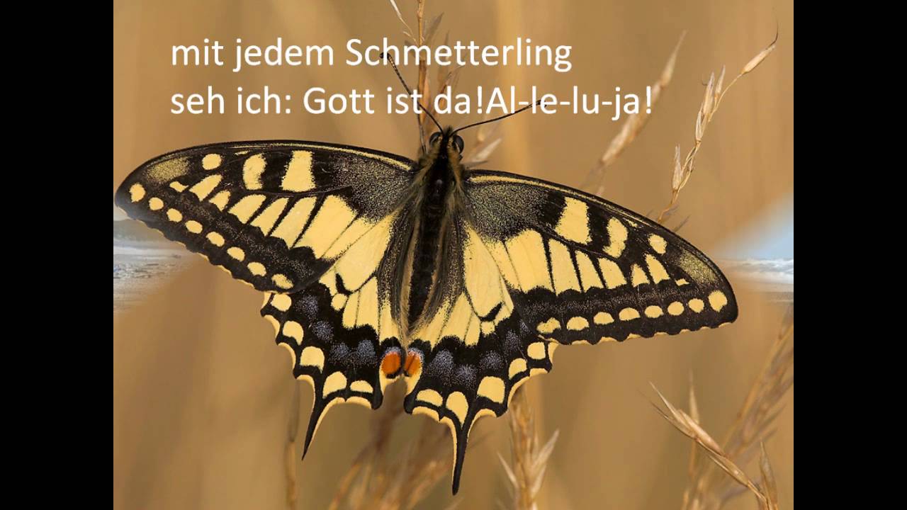 In jeder Blume.wmv