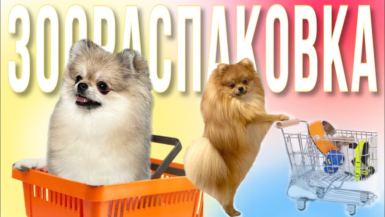 Распаковка для собак 🐾 Новые игрушки, лежанка, аксессуары… GiGwi & Gamma 🐶