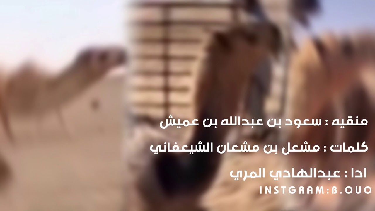 شيله العابرات : سعود بن عبدالله بن عميش الرخيمي : ادا عبدالهادي المري : كلمات مشعل بن مشعان