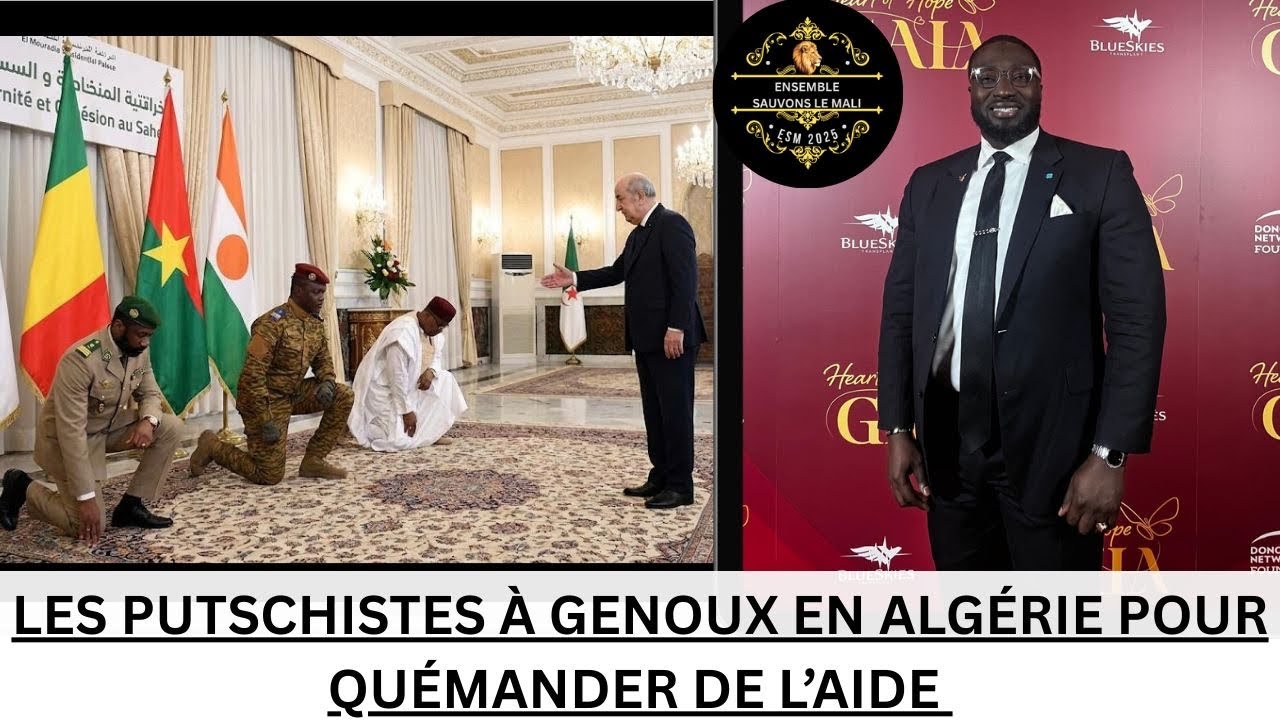 BREAKING NEWS:⛔⛔A L’HEURE DES INFOS PERTINENTES DANTE FAIT SON ANALYSE!!