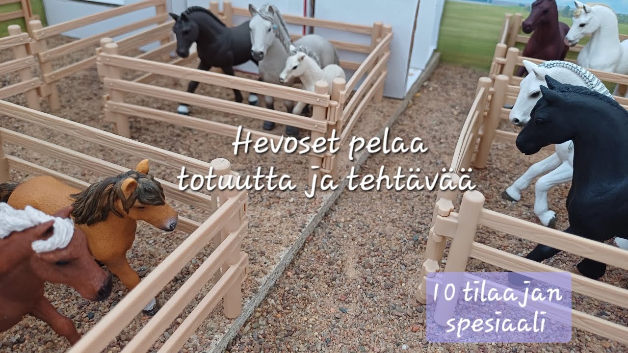 Hevoset pelaa totuutta ja tehtävää 😅  (10 tilaajan spesiaali)