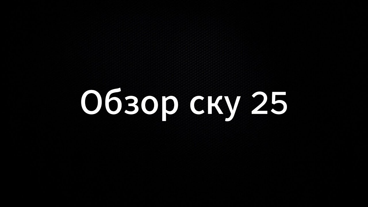 Обзор СКУ25