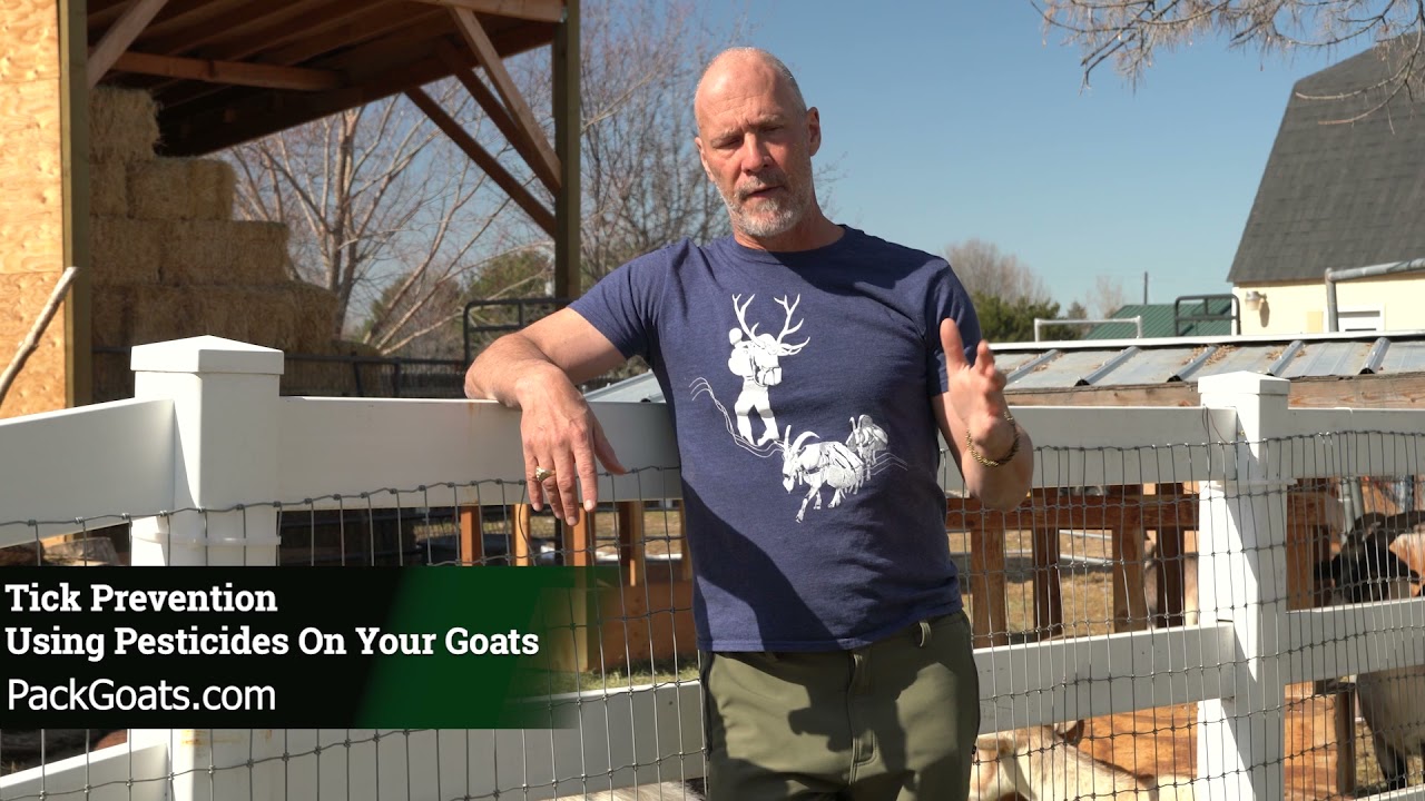 Using Pesticides On Your Goat For Tick Prevention