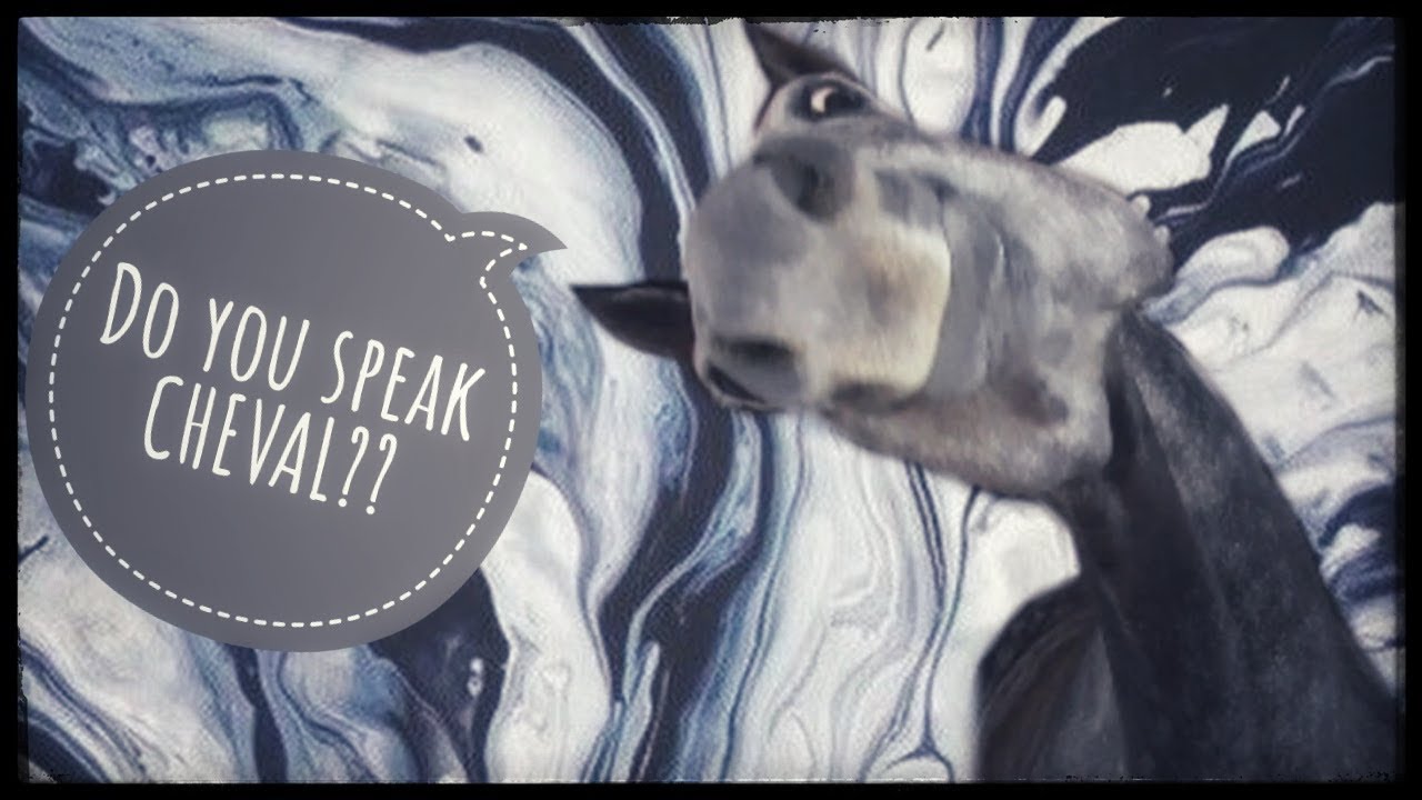 Le langage du cheval - Galop 1