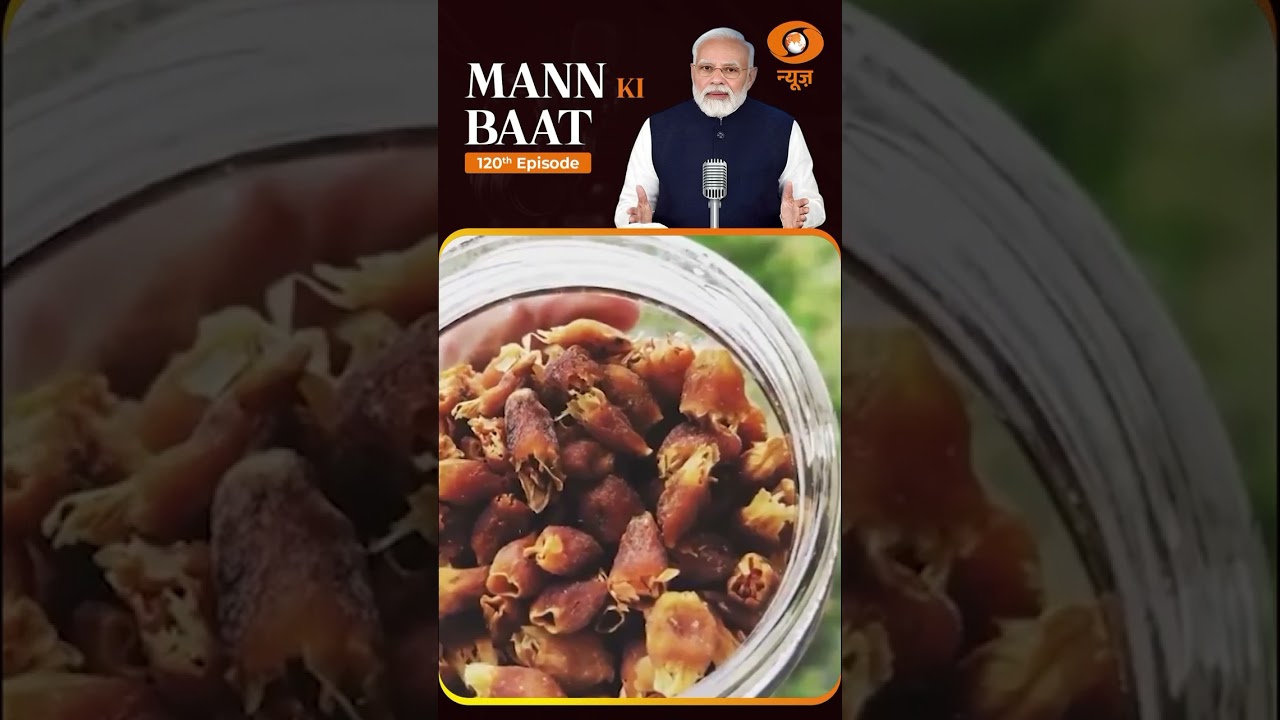 PM Modi Highlights Mahua Flower Innovation in Chhindwara and Adilabad in Mann Ki Baat