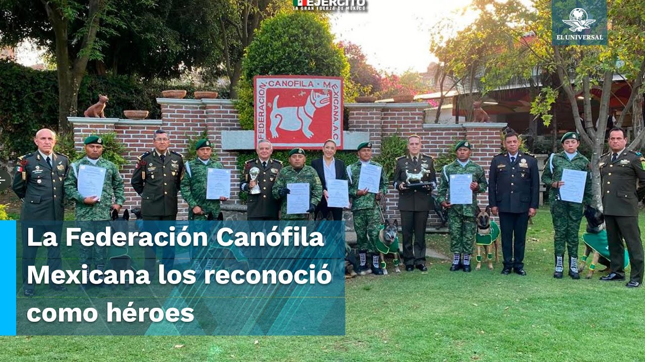 Por su valent&iacute;a y lealtad, reconocen a perros de la Sedena