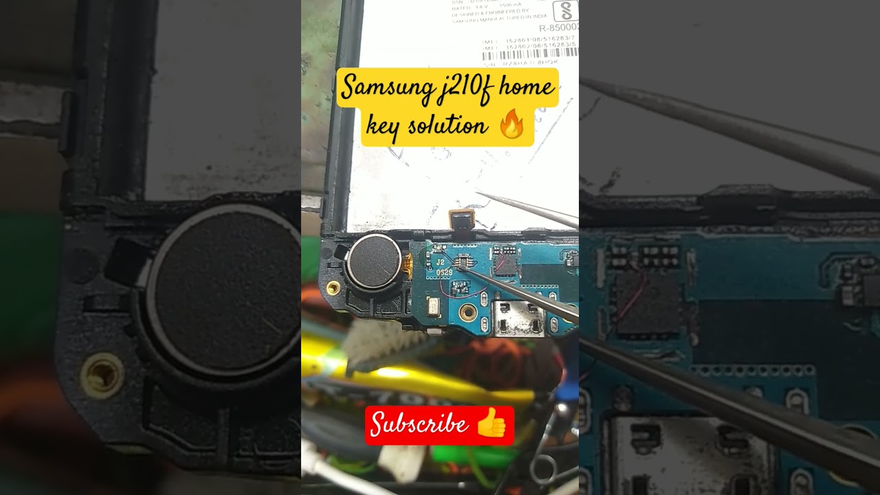 Samsung galaxy j210f home button solution 💯#shorts #viral #youtube #ytshorts