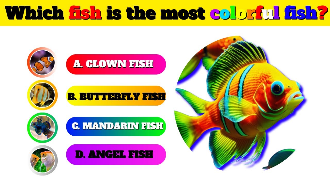 🐟🧠 Top 10 Fish GK Quiz! Test Your Fish GK Knowledge..!