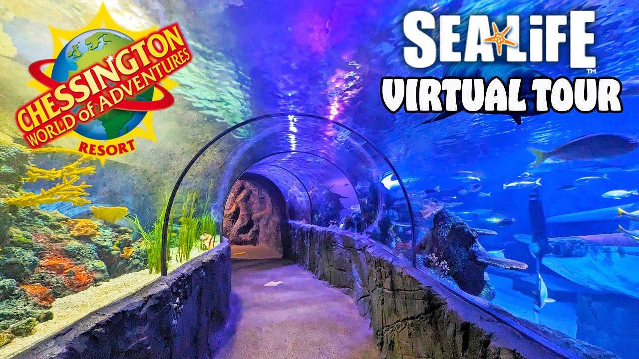 Sea Life at Chessington World of Adventures | Full Aquarium Tour (March 2025) [4K]